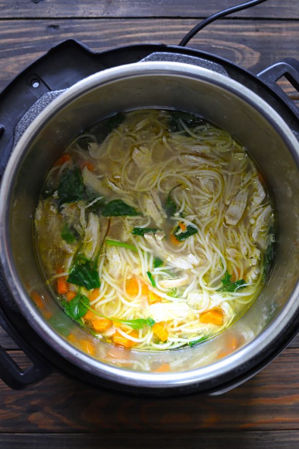 Chicken Noodle Soup (Instant Pot Recipe) - Fun FOOD Frolic