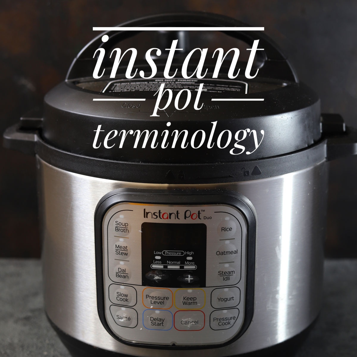 The Instant Pot Language - Terminology & Acronyms - Piping Pot Curry