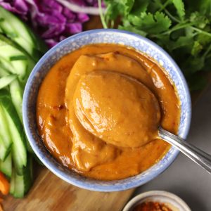 aerial shot of peanut sauce in a bowl with the spoon